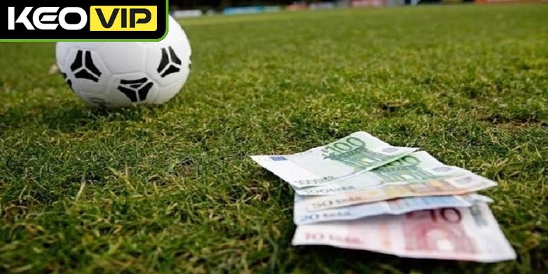Tỷ lệ kèo trực tuyến tra cứu bảng cược bóng đá với giao diện dễ nhìn